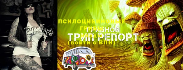 стаф Верхнеуральск