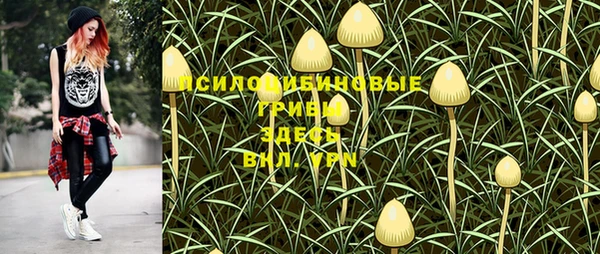 spice Приозерск