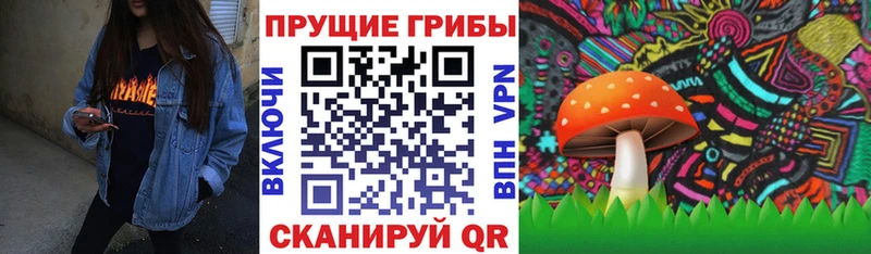 Псилоцибиновые грибы Cubensis  цены наркотик  Лобня 